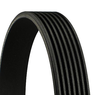 11287628652CT 7PK1855 V-Ribbed Belt