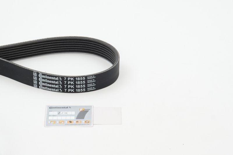 11287628652CT1 7PK1855 V-Ribbed Belt