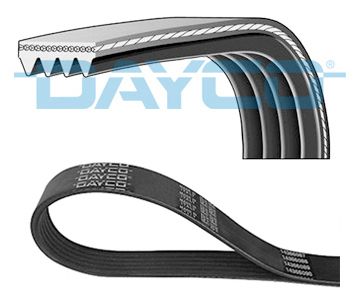 11287631814D 4PK860 V-Ribbed Belt