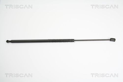 51243400379TS 8710 11226 Gas Spring, boot/cargo area