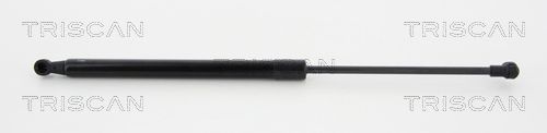 51247239871TS 8710 11294 Gas Spring, boot/cargo area