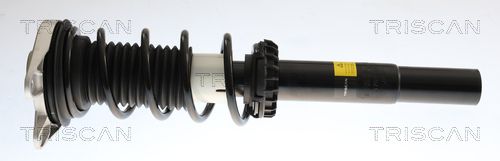 31316880098TS 8705 11112 Shock Absorber