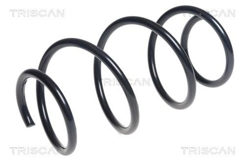 31336851717TS 8750 11192 Suspension Spring