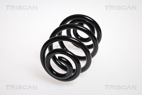 33536760605TS 8750 1194 Suspension Spring