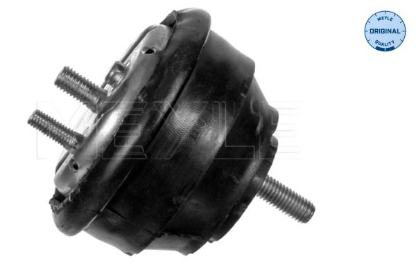 11811094149M 300 118 1123 Mounting, engine