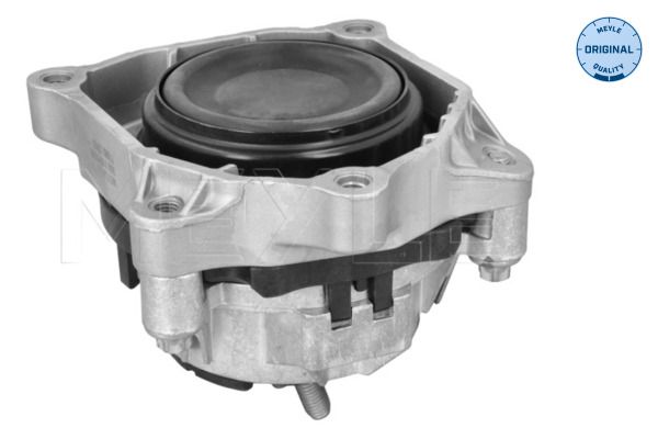 22116859413M 300 118 1129 Mounting, engine