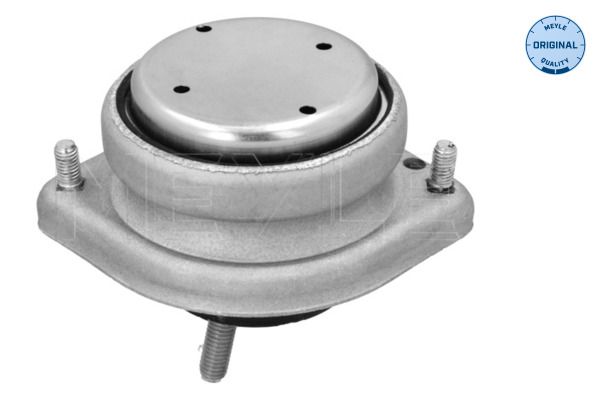 22111096514M 300 221 1128 Mounting, engine