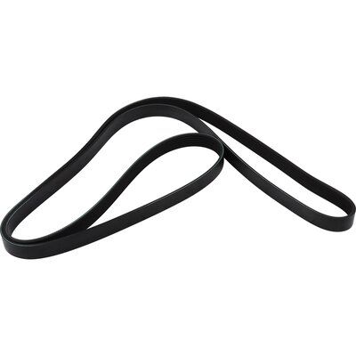 11287631814JP 1418100500 V-Ribbed Belt