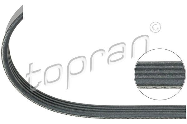 11287631814TR 500 683 V-Ribbed Belt