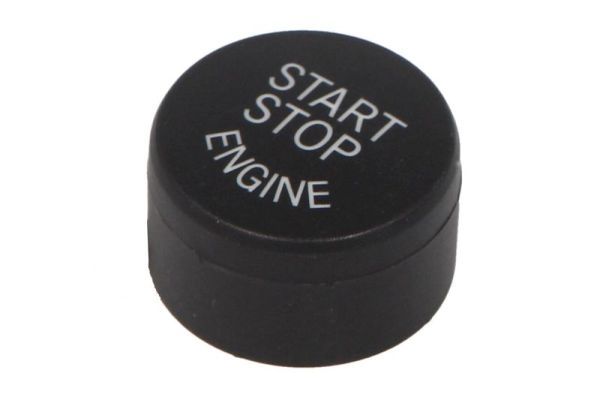 61319153831BZ 1000-20-0067111P Start/Stop button