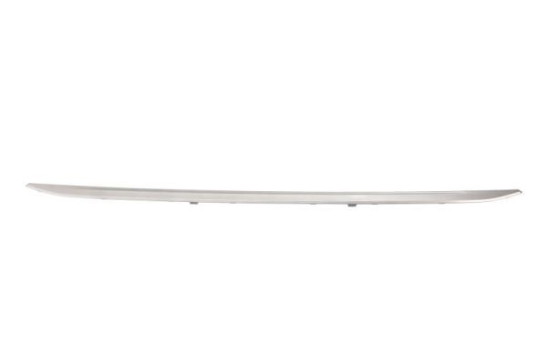 51127289756BZ 5513-00-0063928P Trim/Protection Strip, bumper