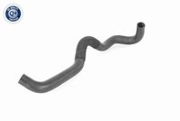 11288579118V1 11288579118 11 28 8 579 118 8579118 V20-8260 MINI F54LCI -  Belt Tensioner, V-ribbed belt