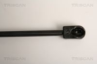 51237148346TS 51237148346 51 23 7 148 346 7148346 8710 11118 BMW X6 (E72 Hyb) -  Gas Spring, bonnet