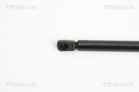 51247127875TS 51247127875 51 24 7 127 875 7127875 8710 11225  Gas Spring, boot/cargo area