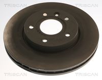 34106762851TS 34106762851 34 10 6 762 851 6762851 8125 11106 BMW Z4 (E89) -  Splash Guard, brake disc