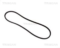 32421706597TS 32421706597 32 42 1 706 597 1706597 8640 100825 BMW E28 -  V-Belt