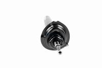 31311096852V 31311096852 31 31 1 096 852 1096852 V20-2197  Shock Absorber