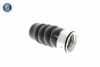 11617795304V 11617795304 11 61 7 795 304 7795304 V20-1621 BMW E91 -  Charge Air Hose