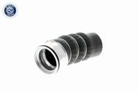 11617795304V 11617795304 11 61 7 795 304 7795304 V20-1621 BMW E91 -  Charge Air Hose