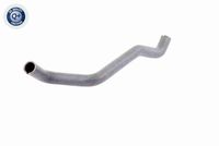 11617504536V1 11617504536 11 61 7 504 536 7504536 V20-0788  Hose, crankcase ventilation