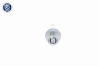 13627794972VM 13627794972 13 62 7 794 972 7794972 V25-72-1015-1 MINI R56 -  Mass Air Flow Sensor