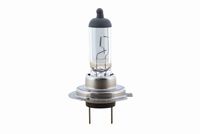 63217160781VM1 63217160781 63 21 7 160 781 7160781 V99-84-0002 BMW X5 (E70) -  Bulb, spotlight