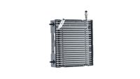17517617598MO 17517617598 17 51 7 617 598 7617598 CI 617 000P MINI F56 -  Charge Air Cooler