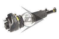 37107915953IC 37107915953 37 10 7 915 953 7915953 71110  Air Suspension Strut